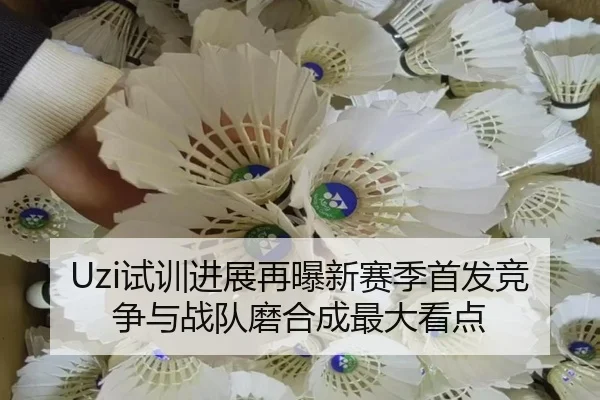 Uzi试训进展再曝新赛季首发竞争与战队磨合成最大看点